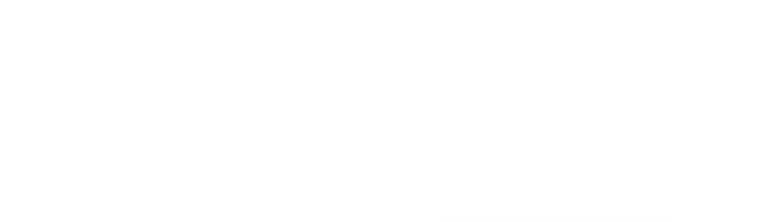 Bratschi Repuestos